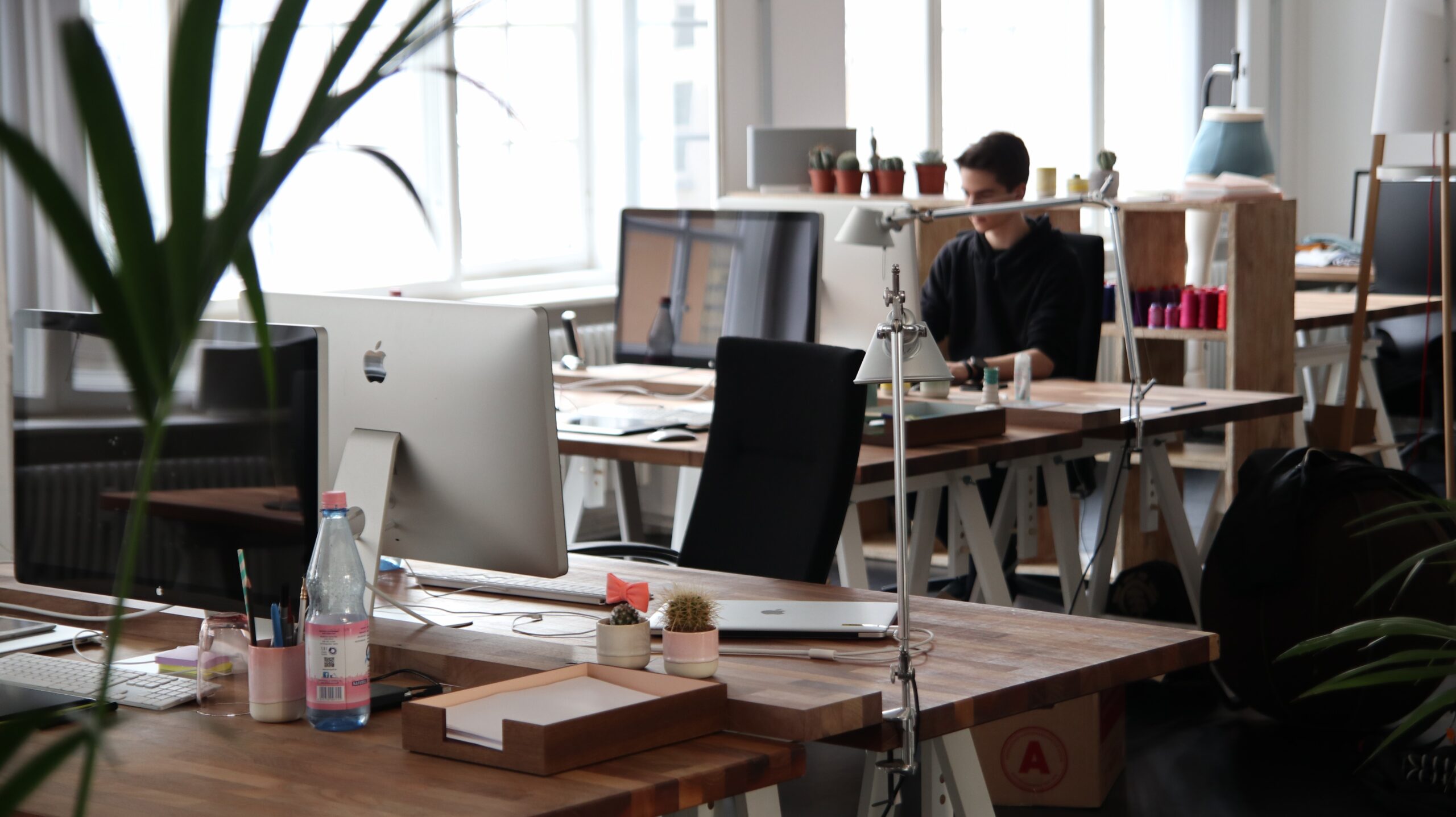 From Home Office to Coworking: Tips for Transitioning to a Shared Workspace